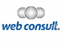WEB CONSULT